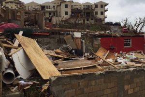 IMG_4914-1024x768-800x400